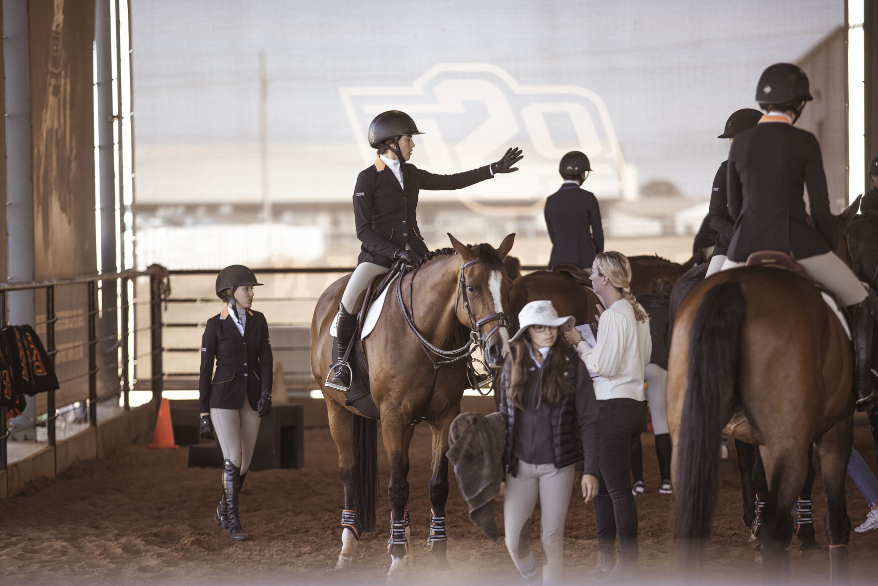 equestrian warm up